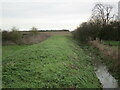 Minor drain, Ruskington Fen