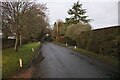 Road in Swan Bottom