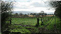 Public footpath / bridleway junction near Tile Pits Plantation