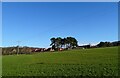 Looking over the fields to Maiden Law