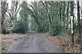 Track from Nightingales Lane to Amersham Road