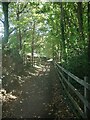 Path on National Cycle Route 4 by Margam Interchange (2)