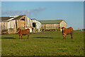 Pasture and farm buildings, Sithney