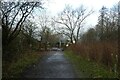 Approaching Callerton Lane