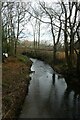 The Pont in Ponteland Park