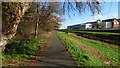 Walkway beside The Birket, Ditton Lane Nature Area