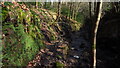 Path through Morton Wood, Dean Dike near Hepworth