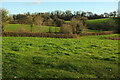 Fields near Shadrack