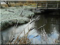 Frosted reedmace