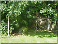 Footpath and ruin by Great Canfield churchyard