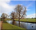 Woburn Park - Horse Pond