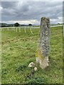 Stone near the Gallops