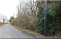 TQ5594 : Coxtie Green Road near Noak Hill by David Howard