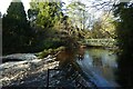 Weir on the Nidd