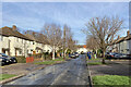 Cherry Hinton: silver birch on Pen Close