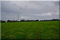 SW5835 : Gwinear-Gwithean : Grassy Field by Lewis Clarke