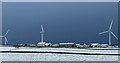 ND0269 : Wind turbines and associated buildings by Ian Cunliffe