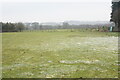 Frozen paddock at Littleworth End