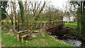 Footbridge over stream at Ynys-wen, twynllanan