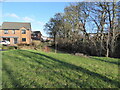 Newbiggin Dene at the back of Kenton Bank Heath