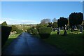 Path through the Cemetery