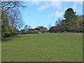 Field with horses