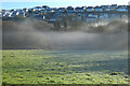 Pasture, woodland and houses, Helston