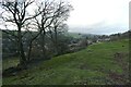 Footpath above Pateley Bridge