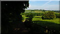 Path leading down to Blacker Dam from Royd Hill, Silkstone Common