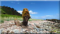 NH7662 : Small rock stack on shore SW of Eathie Fishing Station by Colin Park