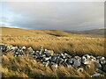 NS8212 : Southern Upland Way above Coupland Knowe by Alan O'Dowd