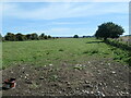 TA0480 : Flixton Carr fields, south of Bay View Farm by Christine Johnstone