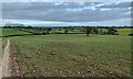 SP2069 : Arden countryside near Rowington by Robin Stott
