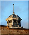 Town hall cupola