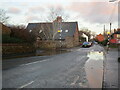 Big puddles by the pedestrian crossing, Langham