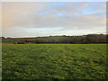 SK8112 : Grass field near Whissendine by Jonathan Thacker