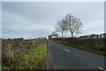 Wheldrake Lane near Skipwith Road