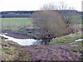 Newbigging Burn, Oxnam