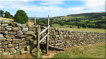NZ6804 : Stone stile on Esk Valley Walk, S of Stormy Hall, Danby Dale by Colin Park