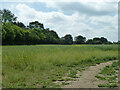 Field south of Church Road, Matching