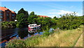 Pleasure craft on R Tees downstream from Yarm road bridge