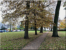 SP3166 : Looking north in Clarendon Square, Leamington  by Robin Stott