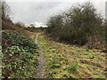 Footpath south of Doe Lea