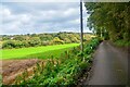 St Erth : Strawberry Lane