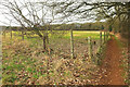 Footpath to Hook Norton