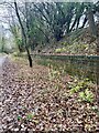 Old Railway Embankment Wall