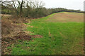 Field south of Cradle Farm