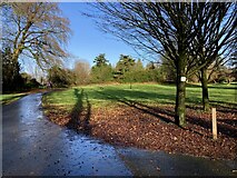 H4572 : Path, Arleston Park by Kenneth  Allen