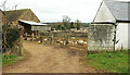 Farmyard, Cradle Barn