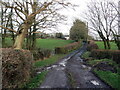 Llwybr cyhoeddus Llysonnen / Llysonnen public footpath